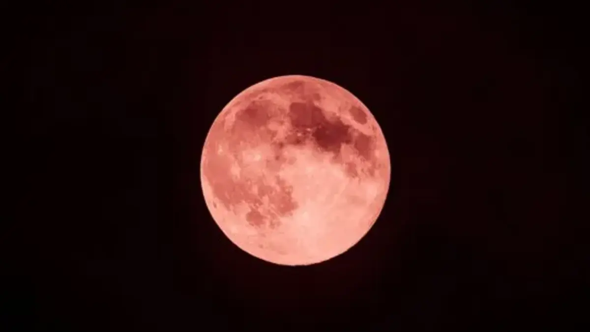 ¿Cuándo y cómo podrás ver la Luna de Fresa 2025?  