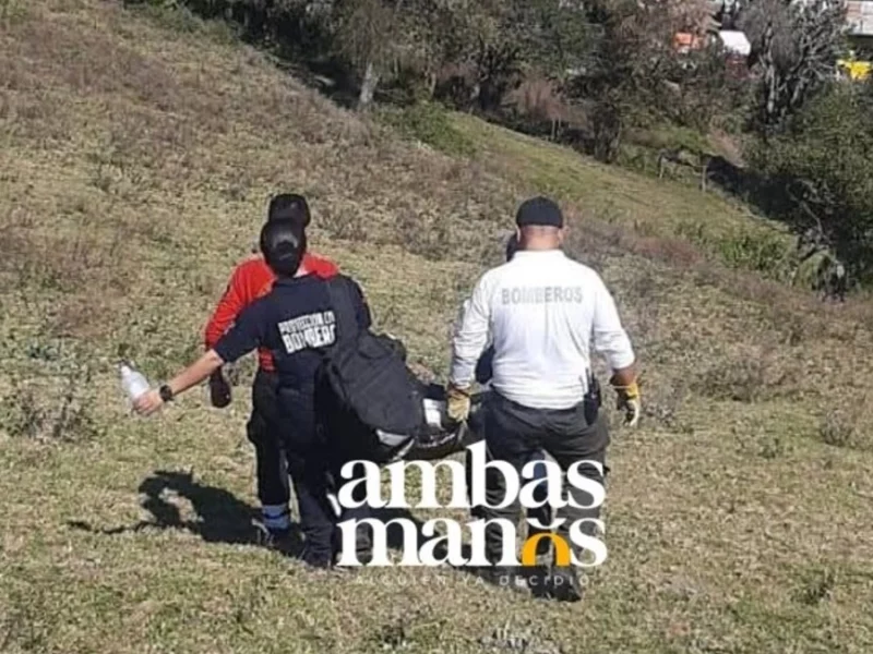 Vinculan a proceso al que macheteó a cuatro perros en Zacapoaxtla