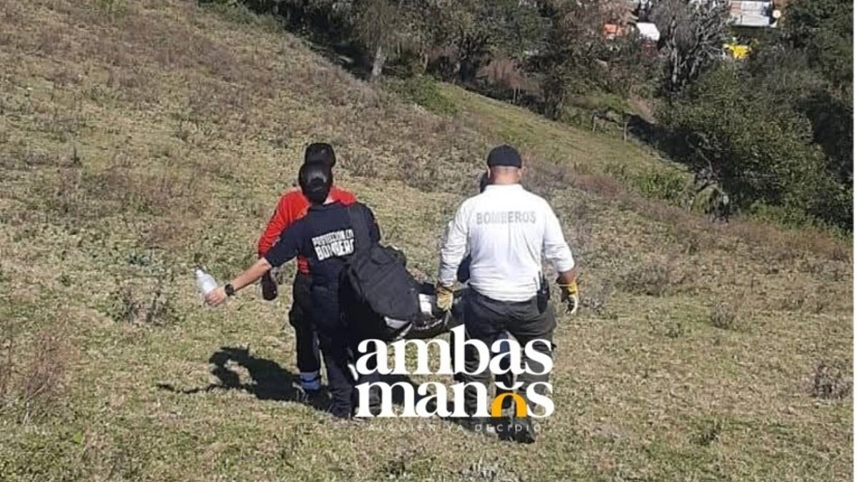 Vinculan a proceso al que macheteó a cuatro perros en Zacapoaxtla