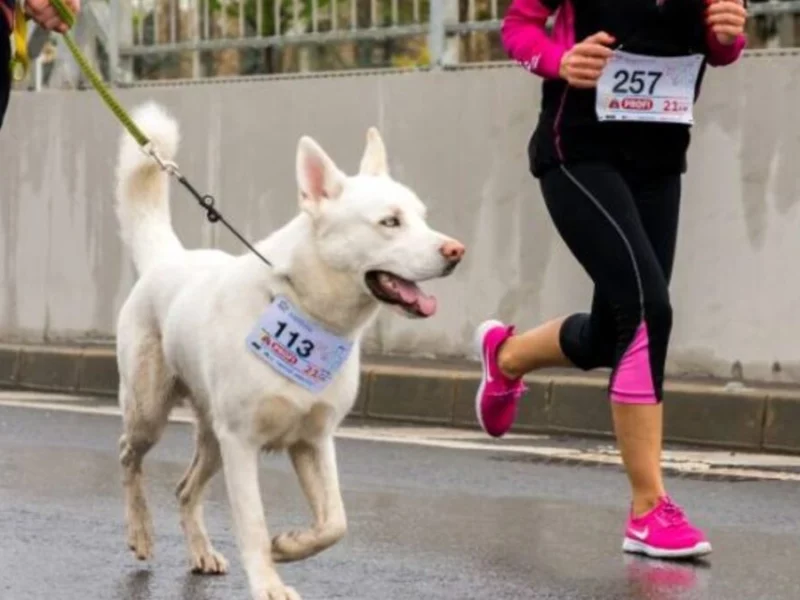 Participa en la carrera “Lomitos Imparables” por el cuidado de las mascotas en Puebla