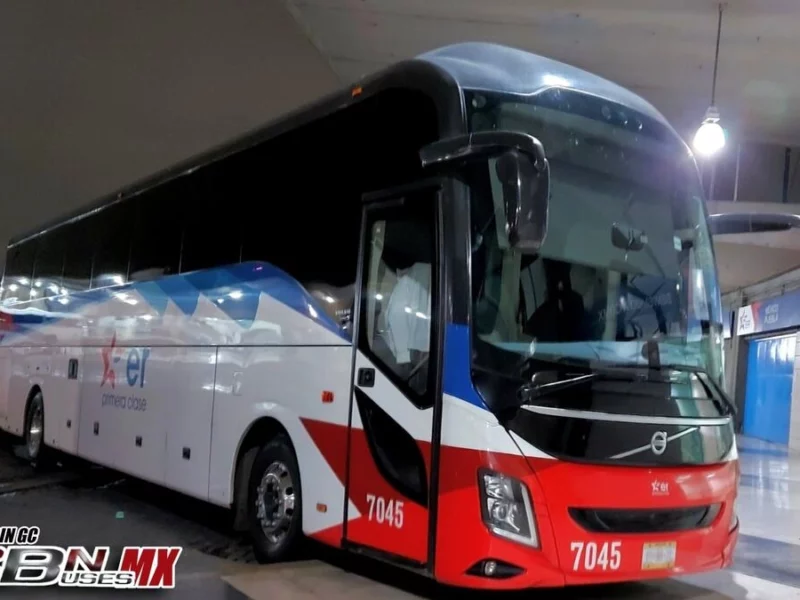 Aprovecha el Ochentón de Estrella Roja y viaja a la CDMX por 80 pesitos  