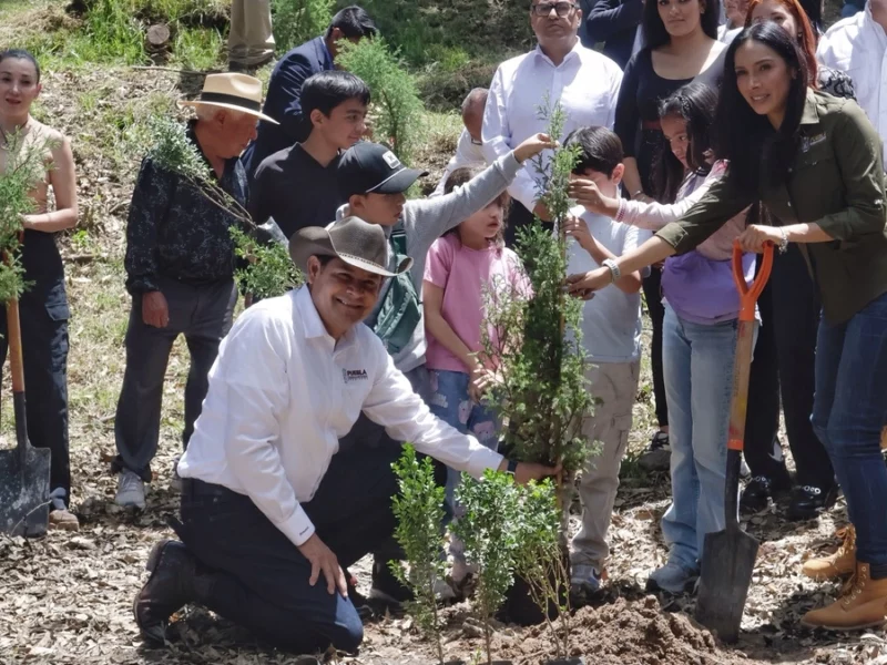 Con el Plan de Reforestación plantarán este año 1.7 millones de árboles en Puebla