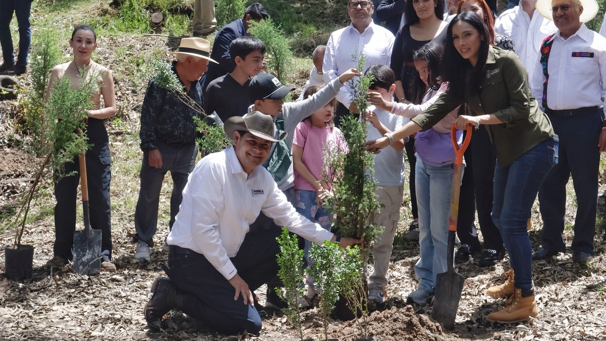 Con el Plan de Reforestación plantarán este año 1.7 millones de árboles en Puebla