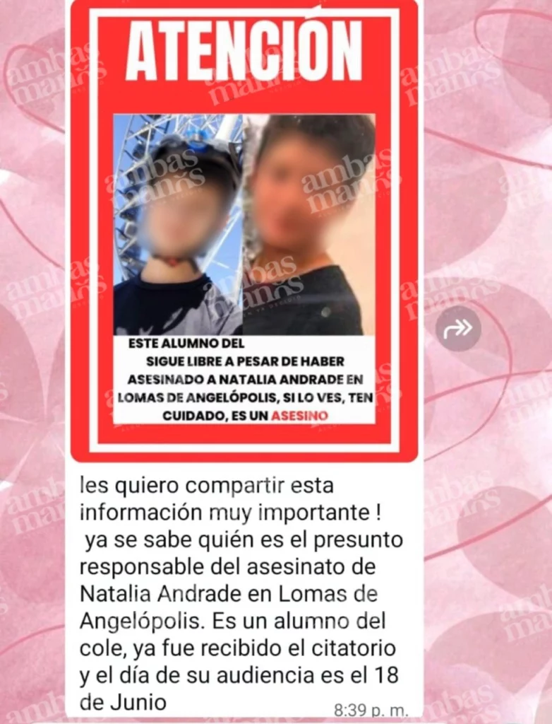 Según versiones y supuestas declaraciones del niño, él argumentó sufrir acoso escolar, donde lo llamaban “cobarde”, y habría cometido el crimen como parte de un reto.