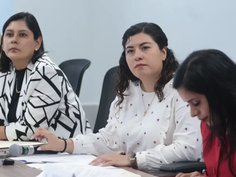 Avalan en Comisión del Congreso propuesta legislativa a favor de mujeres jubiladas