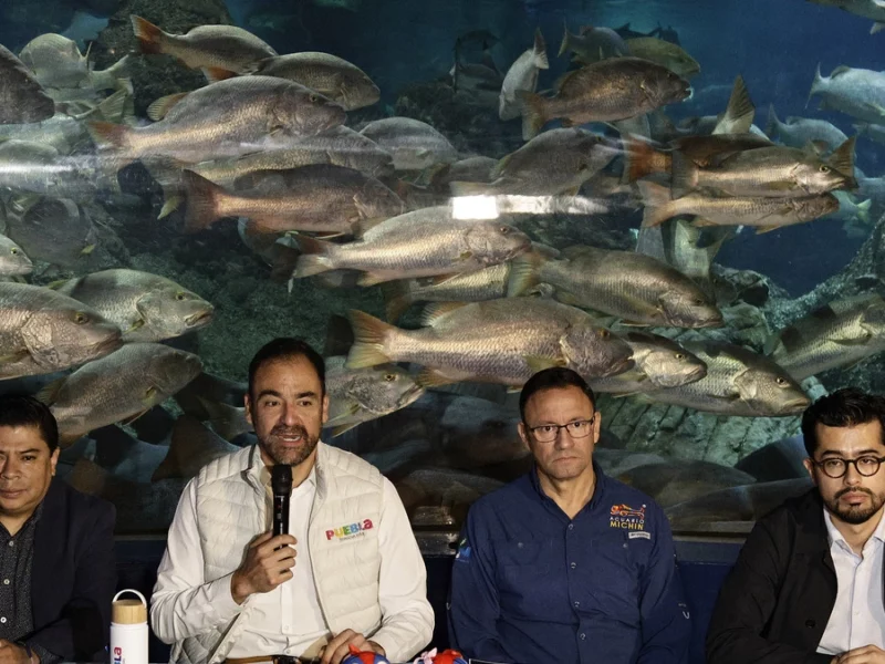 Se unen 39 restaurantes a la próxima edición de la Noche de Museos en Puebla  