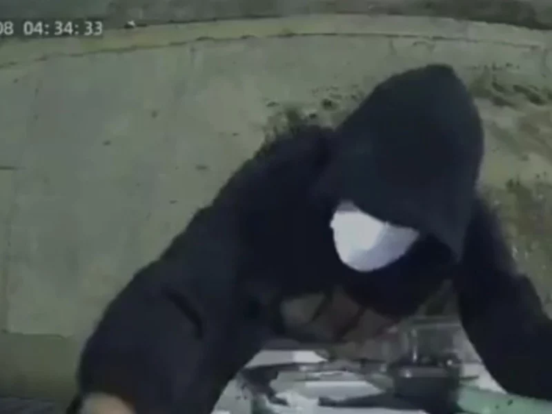 VIDEO: Delincuentes trepan por las paredes para robar cámaras en San Felipe Hueyotlipan