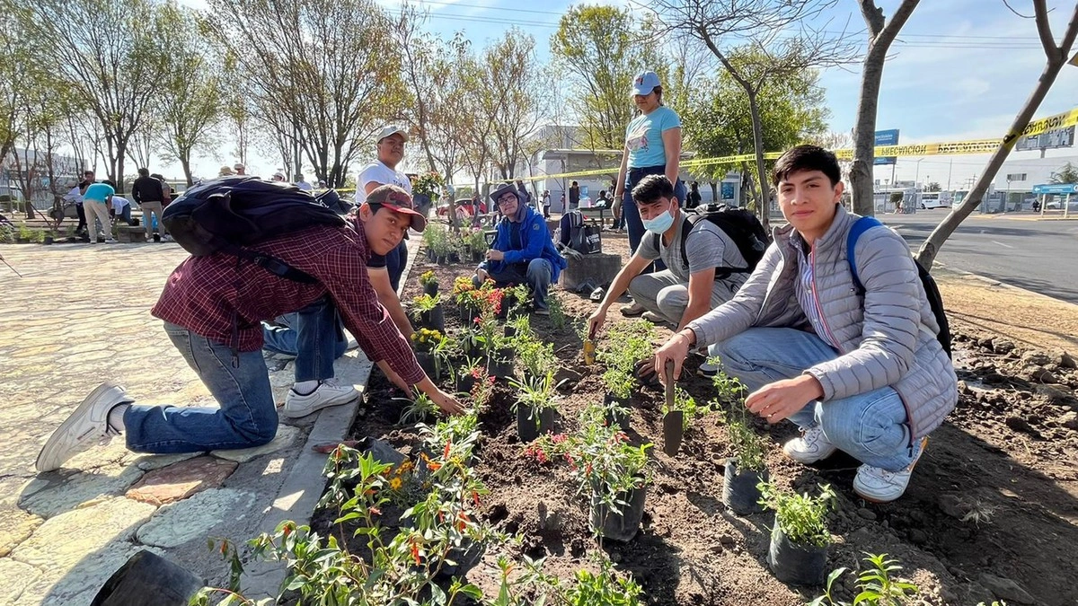 La BUAP representará a México en el Premio Unesco-Japón
