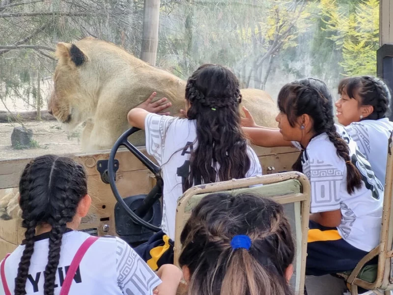 Convive con la naturaleza y animales en el campamento para niños de Watusi Watoto