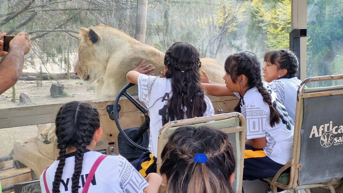 Convive con la naturaleza y animales en el campamento para niños de Watusi Watoto