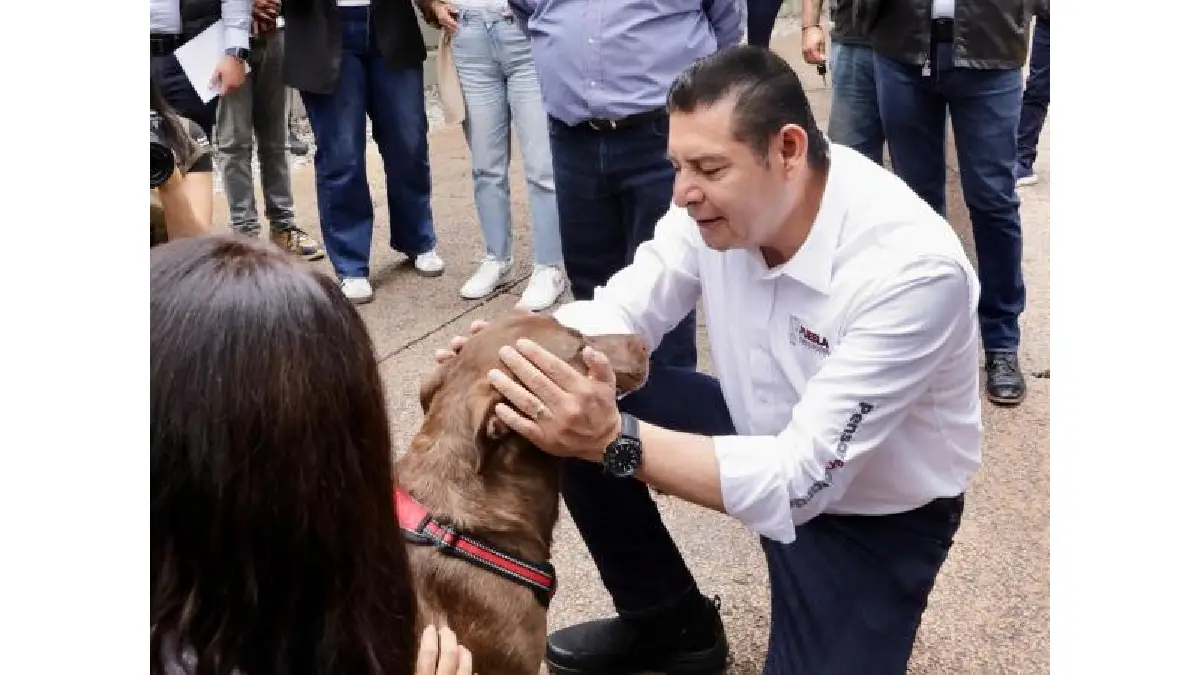 Bienestar animal es seguridad y conciencia para las y los poblanos: Alejandro Armenta