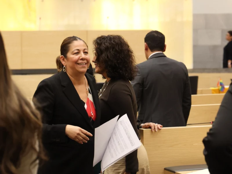 Ya ni hay materia para la impugnación del PAN contra la Ley de Ciberasedio: Laura Artemisa  