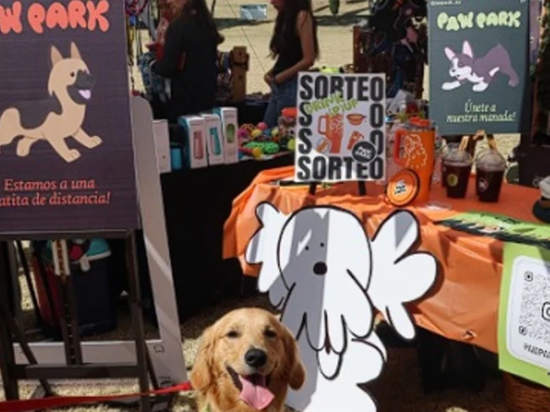 El mejor parque y hotel para perros estará en Puebla: conoce Paw Park  