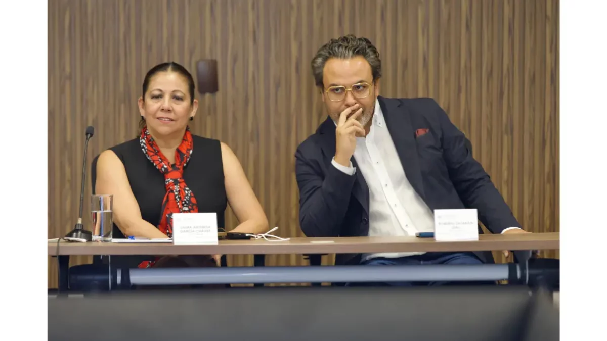 Reformas sobre ciberasedio representan la oportunidad de garantizar seguridad: Norma Pimentel