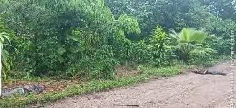 Dos hombres se mataron a machetazos en Xicotepec.