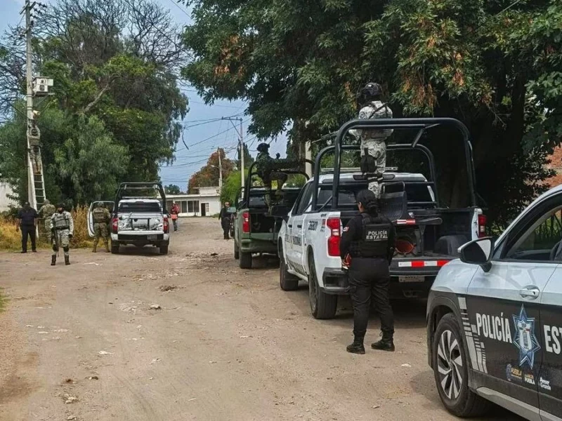 En Texmelucan, delincuentes colocaban cámaras en árboles para vigilar movimientos de la policía  
