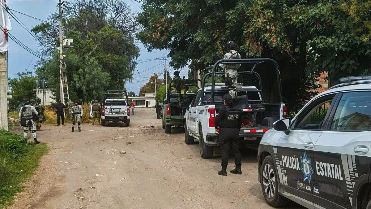 En Texmelucan, delincuentes colocaban cámaras en árboles para vigilar movimientos de la policía  