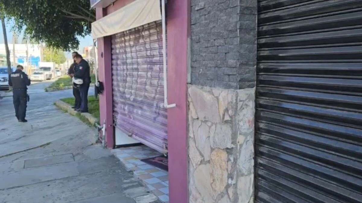 VIDEO: Cortinazo en La Zarza Resurgimiento; se llevaron dinero y pasteles