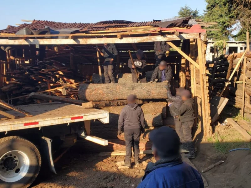El 70% de los aserraderos en Puebla son irregulares: Armenta 