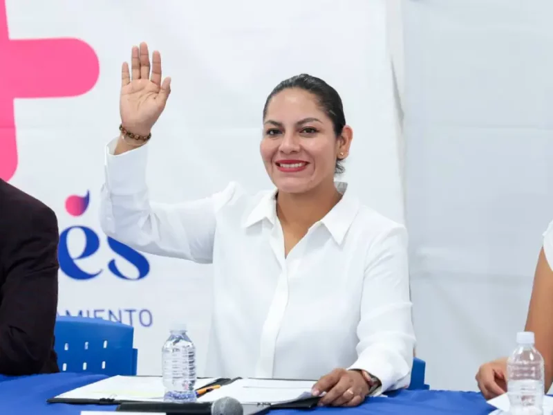 Encabeza Lupita Cuautle segunda sesión del comité municipal del SIPINNA