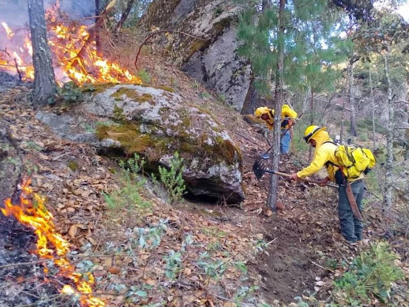 En lo que va de 2025 se han atendido 300 incendios forestales en Puebla