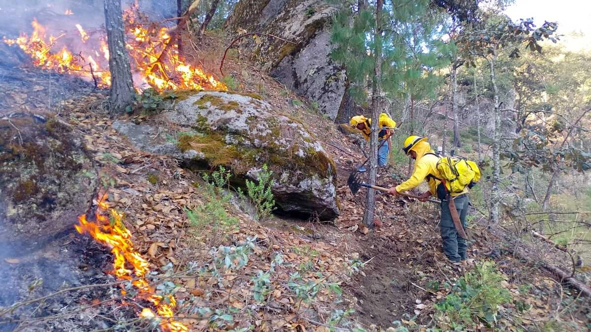 En lo que va de 2025 se han atendido 300 incendios forestales en Puebla