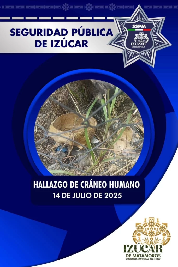 El hallazgo de lo que parecía ser un cráneo humano en el centro de Izúcar de Matamoros, Puebla, causó sorpresa y movilización policial la tarde de este lunes 14 de julio.