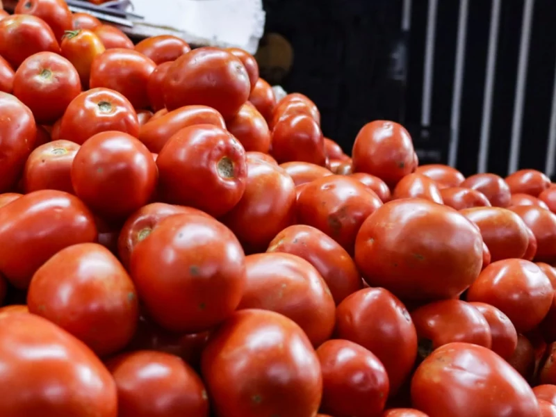 Estados Unidos va por arancel al jitomate; Puebla es de los principales productores