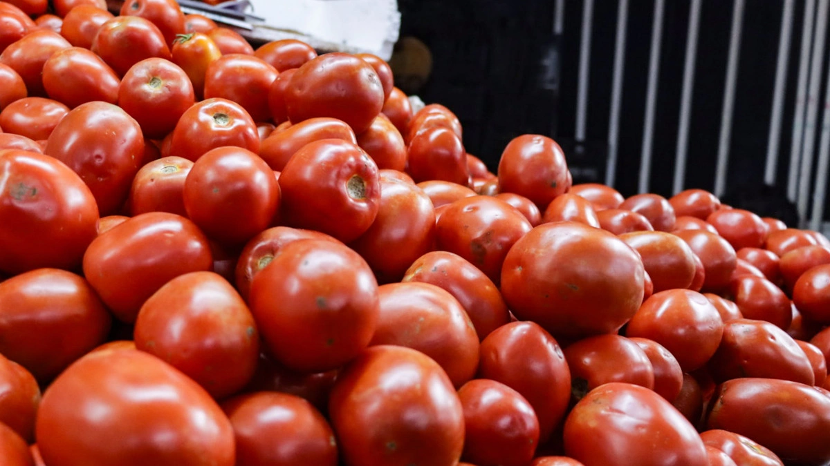 Estados Unidos va por arancel al jitomate; Puebla es de los principales productores