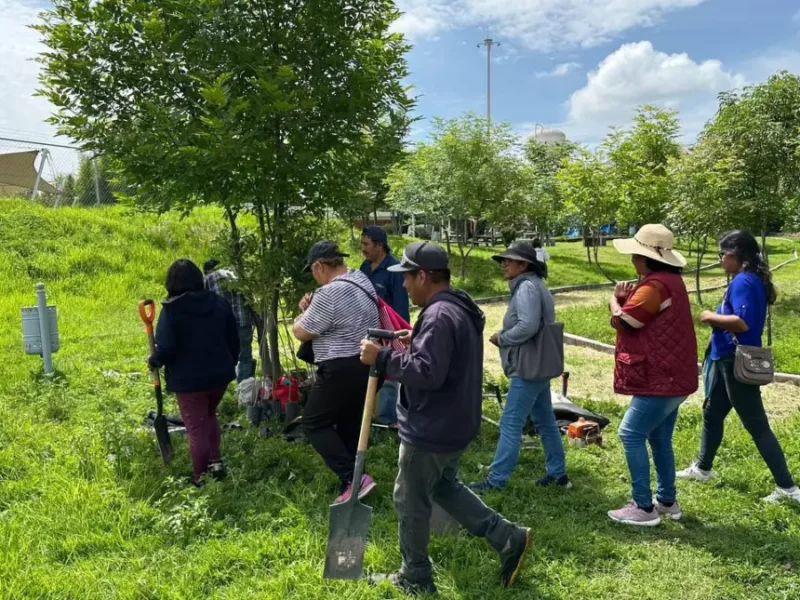 Refuerza Gobierno de la Ciudad reforestación con más de 964 árboles plantados