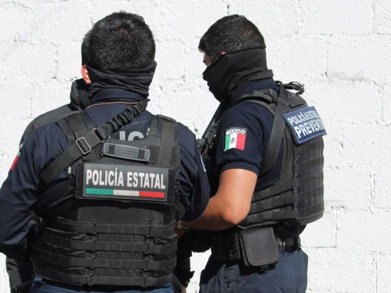 Localizan plantío de marihuana en Santa Rita Tlahuapan 