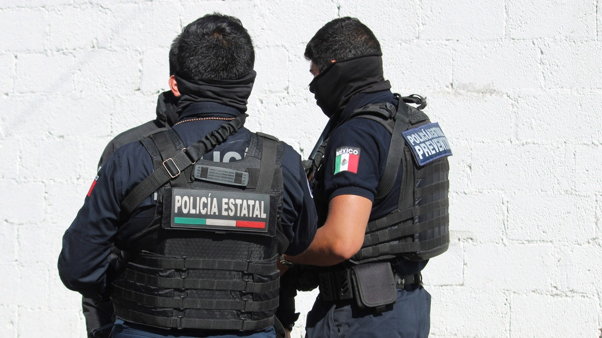 Localizan plantío de marihuana en Santa Rita Tlahuapan 