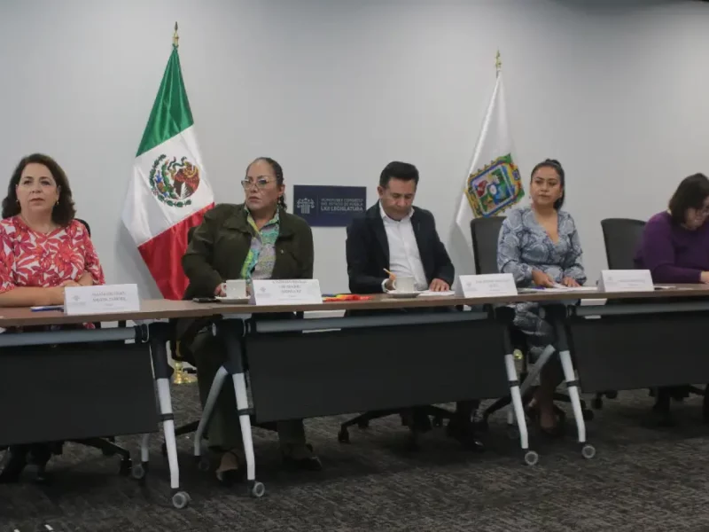 Organizaciones civiles podría ingresar a programas sociales y recibir apoyos, promueven en Congreso