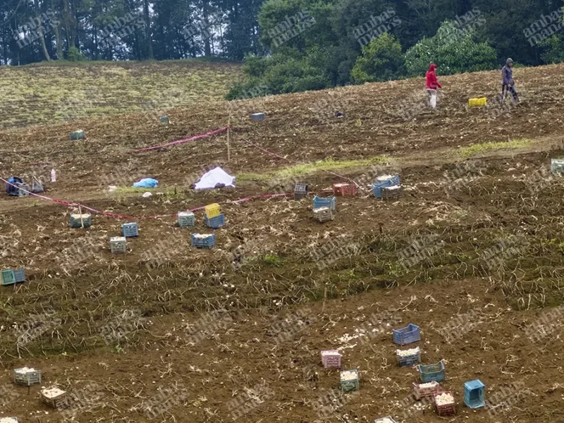 Cae un rayo en campos de cultivo de Tlatlauquitepec y mata a un trabajador  