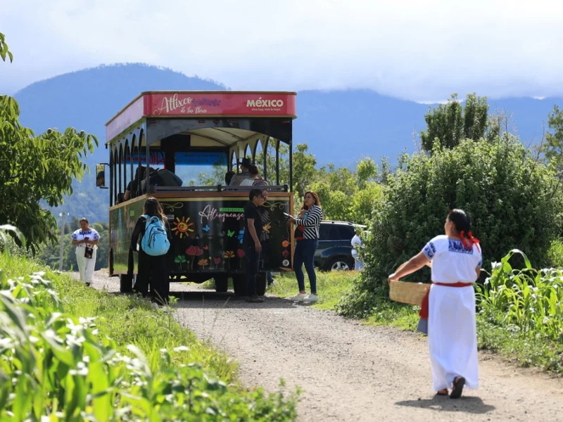 Conoce la Ruta del Nogal en San Nicolás de los Ranchos