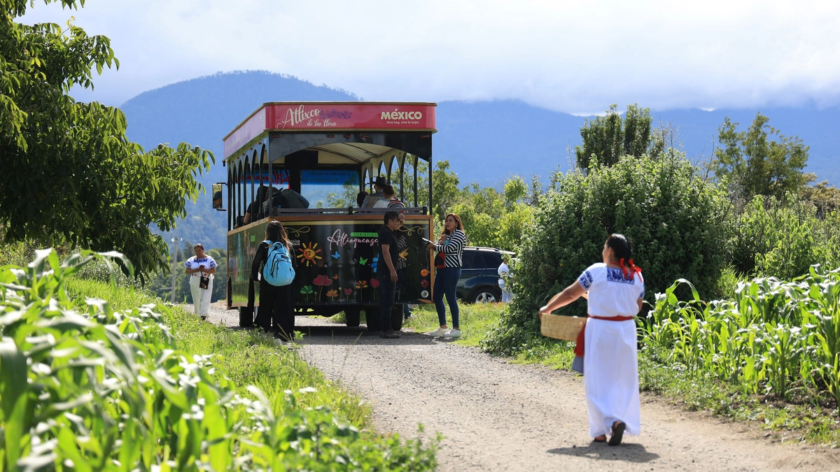Conoce la Ruta del Nogal en San Nicolás de los Ranchos