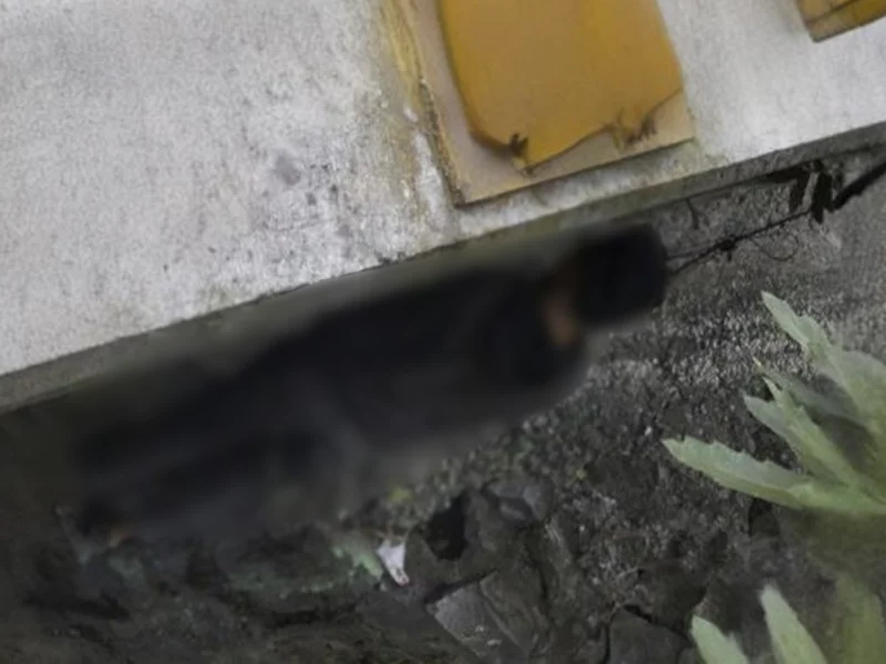 Hombre se quita la vida frente a la Preparatoria Calderón de la BUAP