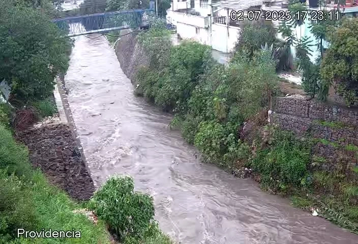 En la zona limítrofe entre Puebla y Amozoc, una víbora de agua sorprendió a vecinos de las colonias El Salvador, Casa Blanca, Historiadores y Chachapa durante una fuerte lluvia este 2 de julio.