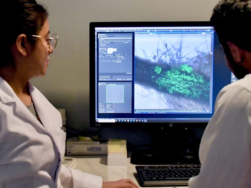 El CICM destaca en Microbiología Médica, de Suelos y Ambiental 