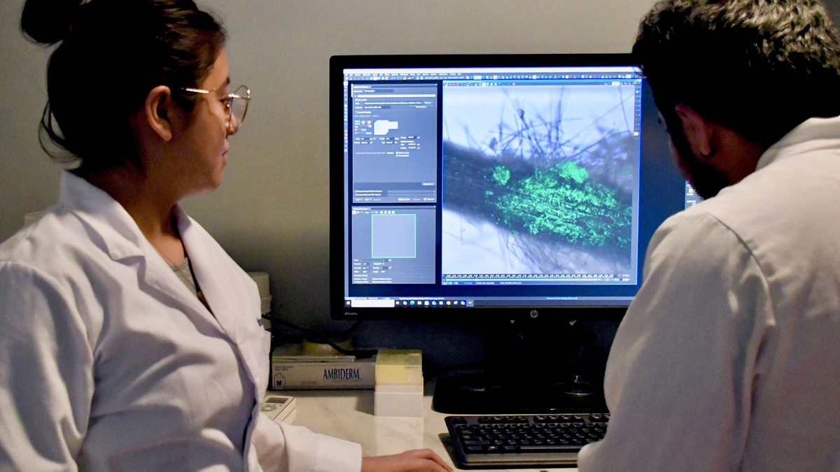 El CICM destaca en Microbiología Médica, de Suelos y Ambiental 