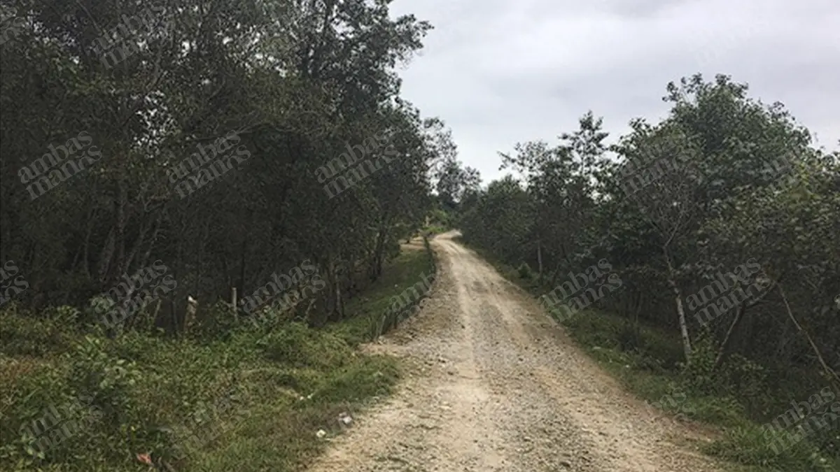 Después de 5 años, Semarnart autoriza modernizar camino de terracería en Chichiquila