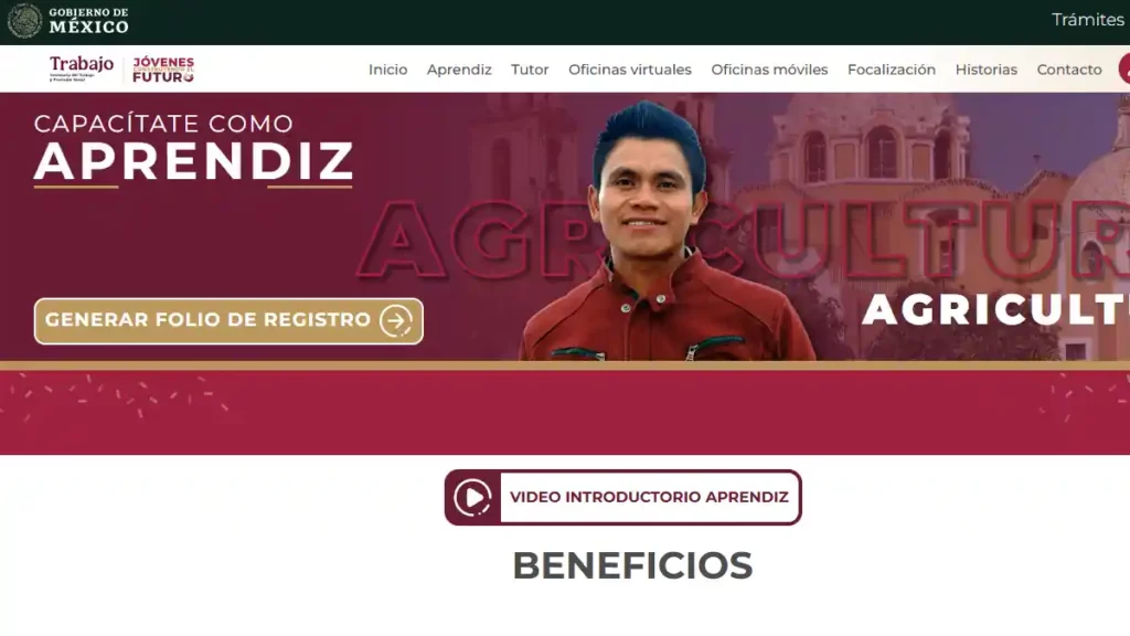 Generar folio de registro del programa.