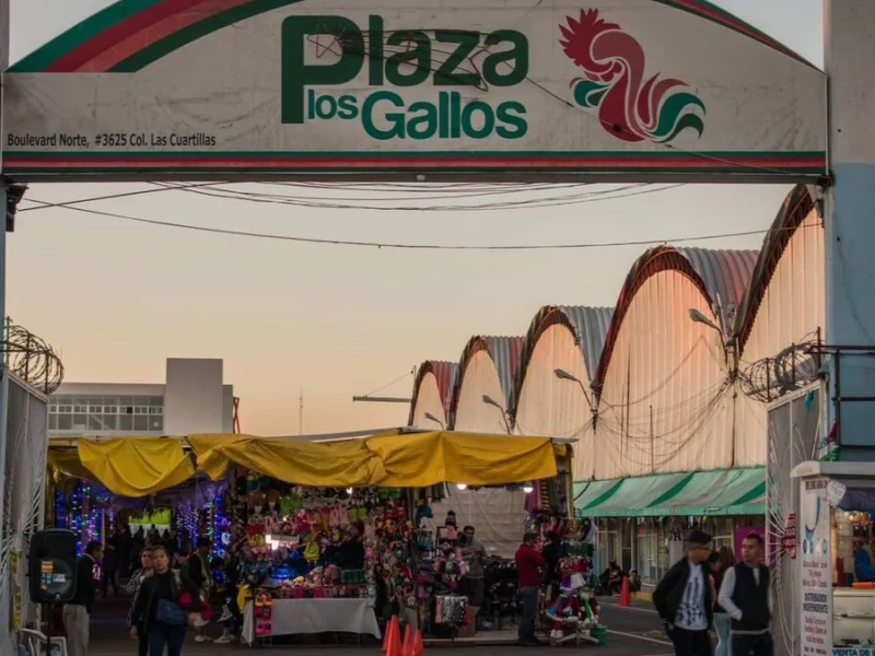 Comerciantes de Plaza Los Gallos denuncian que grupos de choque intentarán despojarlos
