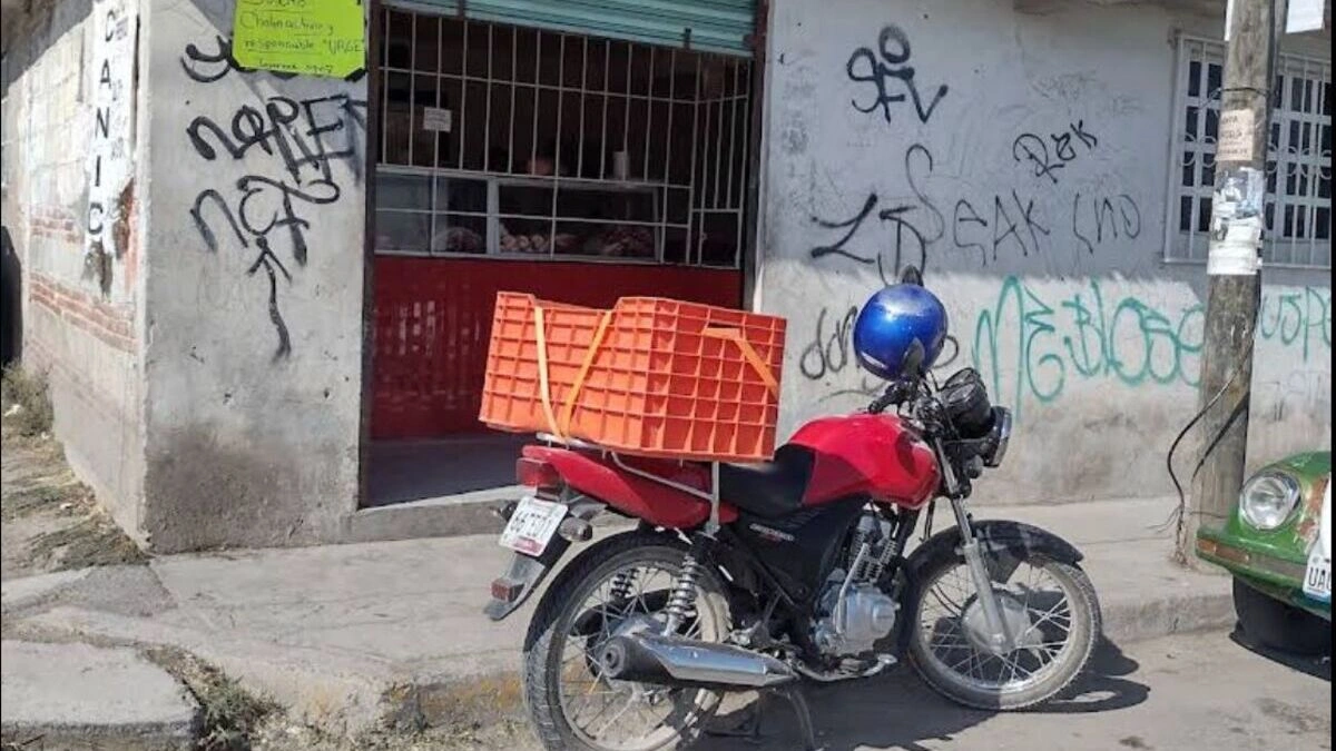 Con armas largas, comando asalta carnicería en San Ramón 