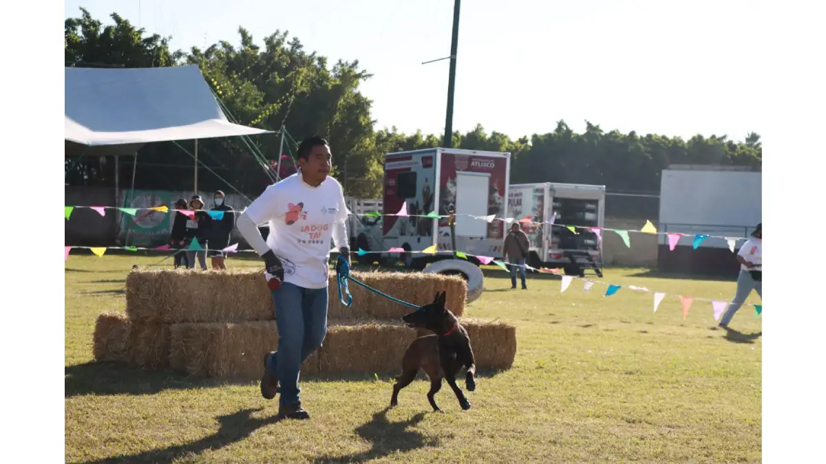 Ariadna Ayala, presidenta de Atlixco, te invita a la carrera "Patitas fugaces 2025”