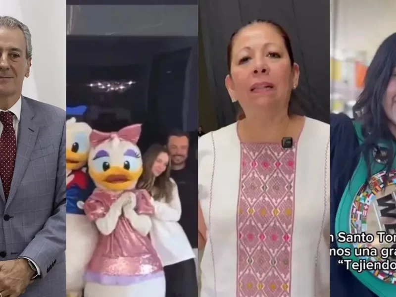 Pepe Chedraui no descarta la reelección, “La Bonita” boxea, Choco aparece con Belinda y Artemisa pisa el acelerador