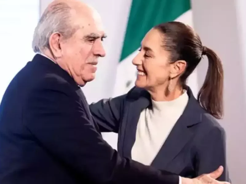 Ellas y ellos son los integrantes de la Comisión Presidencial para la Reforma Electoral