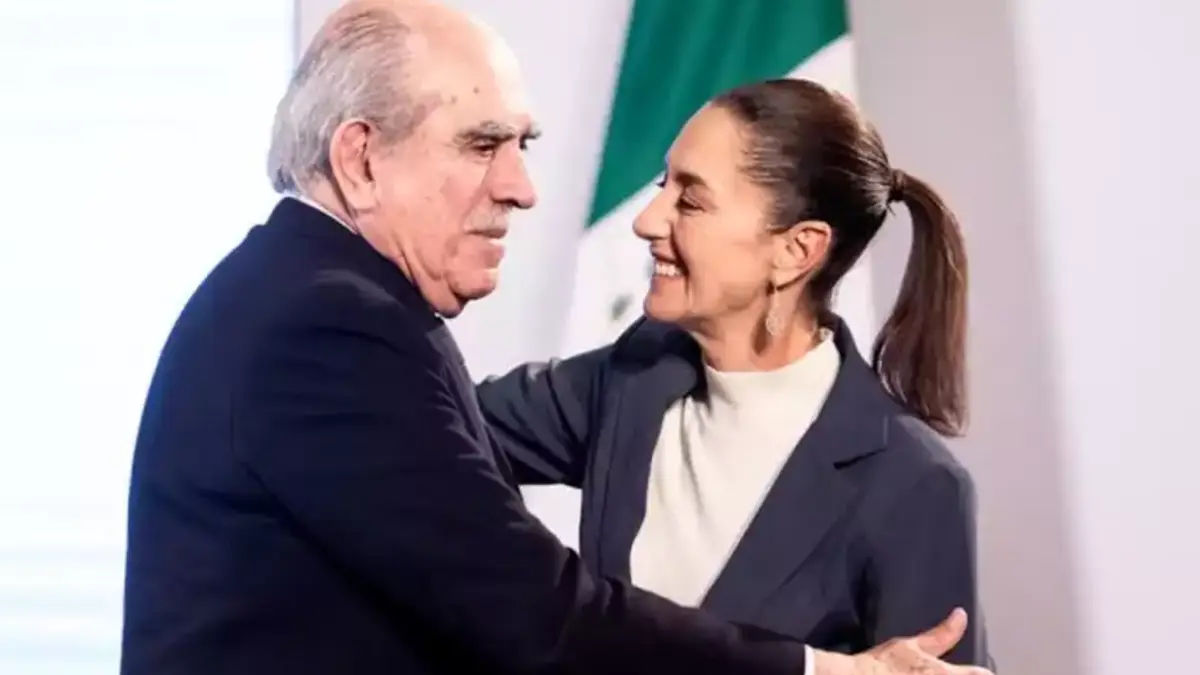 Ellas y ellos son los integrantes de la Comisión Presidencial para la Reforma Electoral
