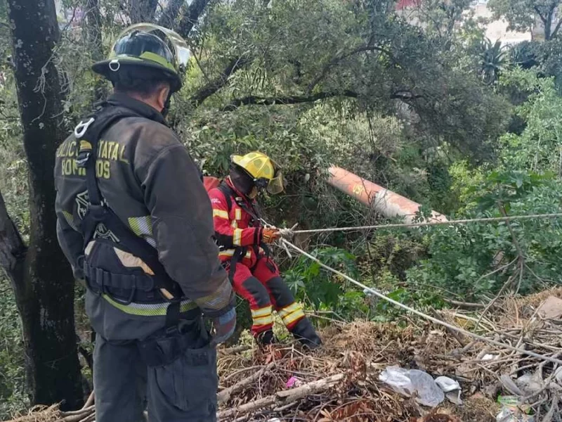 Ebrio sobrevive al caer a una barranca en Flor del Bosque