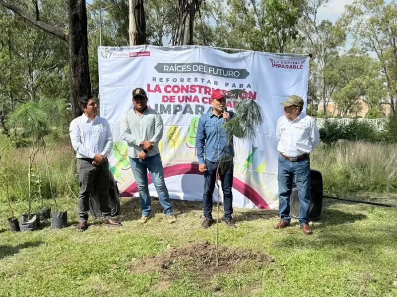 Puebla más verde: 520 nuevos árboles para fortalecer nuestras áreas verdes